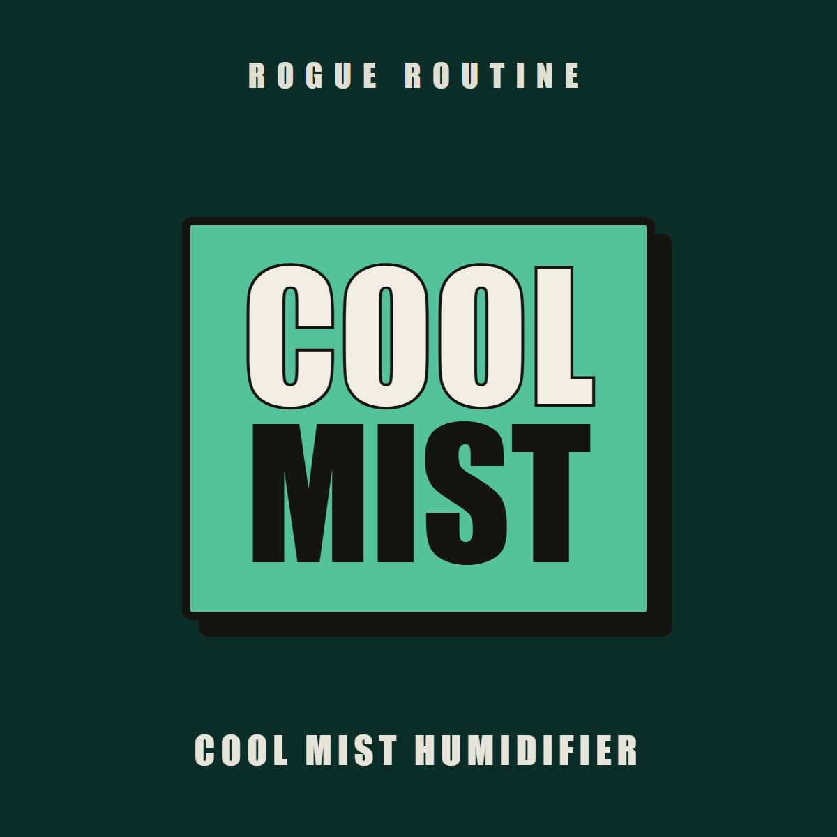 Cool Mist Humidifier